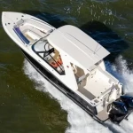 2025 Scout