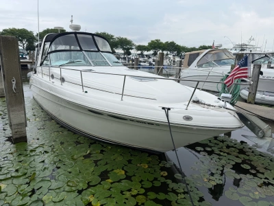 1999 Sea Ray 340 SUNDANCER