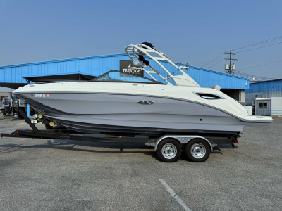 2022 Sea Ray SDX 250