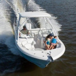 2026 Sea Fox