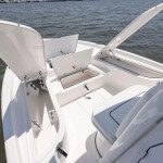 2026 Sea Fox