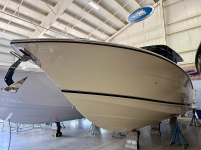 2027 Scout 330 LXF