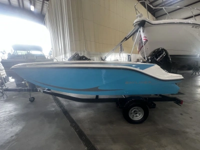 2025 Bayliner M17