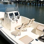 2025 Scout