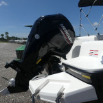 2026 Bayliner