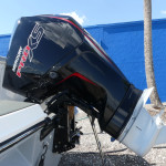 2026 Bayliner