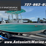 2027 Stingray