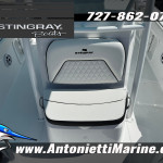 2027 Stingray