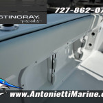 2027 Stingray