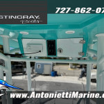 2027 Stingray