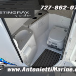 2027 Stingray