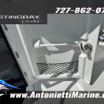2027 Stingray