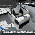 2027 Stingray