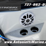 2027 Stingray