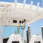 2026 Sailfish