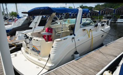 2002 Rinker Fiesta Vee 310