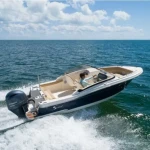 2026 Scout