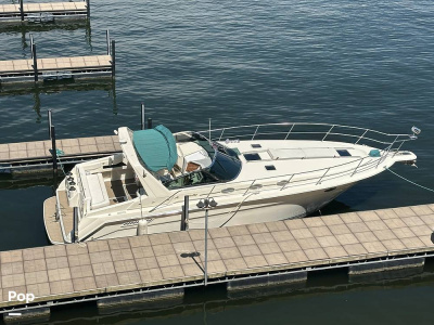 1994 Sea Ray 370 EC