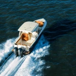 2025 Scout