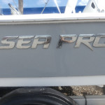 2026 Sea Pro