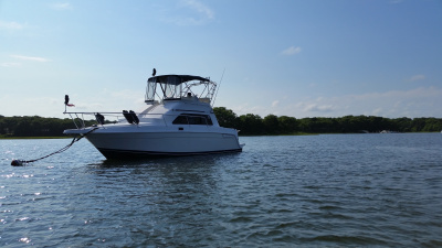 1998 Mainship 31 sedan bridge