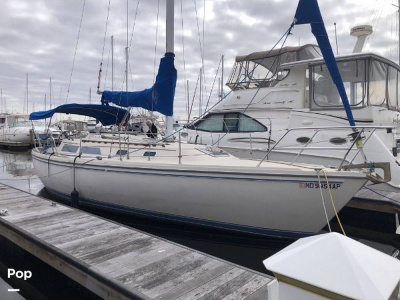 1987 Catalina 36/SL