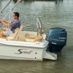 2026 Scout