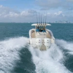2026 Scout