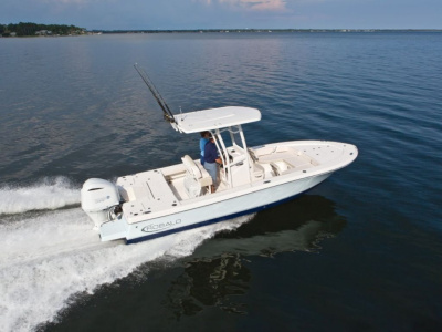 2019 Robalo 246 Cayman