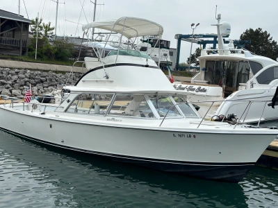 1978 Bertram 31