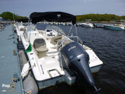 2023 Key West 239 DFS