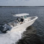 2026 Sailfish