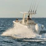 2026 Sailfish