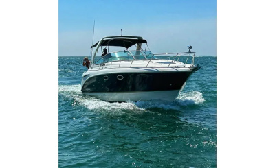 2004 Chaparral Signature 310