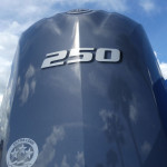 2026 Sea Fox