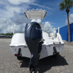 2025 Sea Fox
