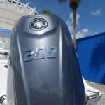 2025 Sea Fox
