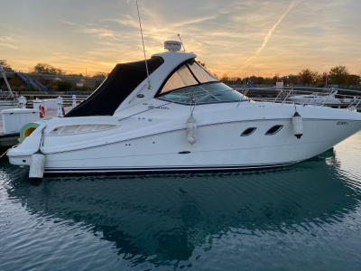 2008 Sundancer 330