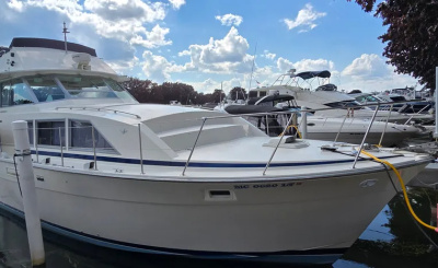 1984 Bertram 42 Flybridge Motor Yacht