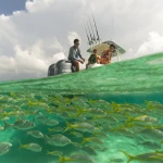 2026 Sailfish