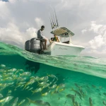 2026 Sailfish