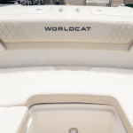 2026 World Cat