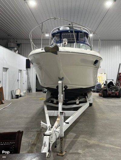 2008 Sea Ray 290 Amberjack