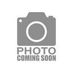 2025 Yamaha Waverunner