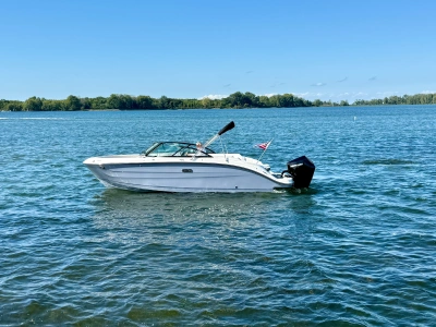 2026 Sea Ray SDX 230 Outboard