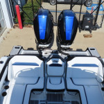 2026 Sunsation