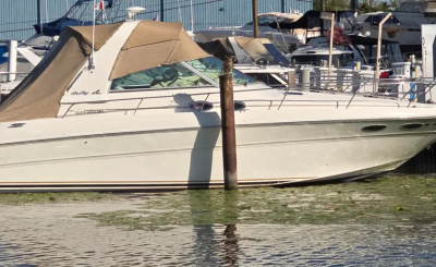2001 Sea Ray Sundancer 310