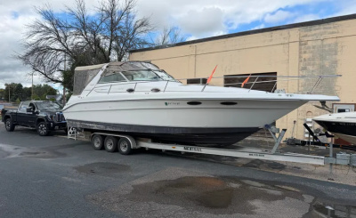 1996 Sea Ray Sundancer 330