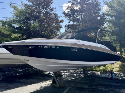 2009 Four Winns FW240H
