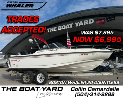1997 Boston Whaler 20 Dauntless